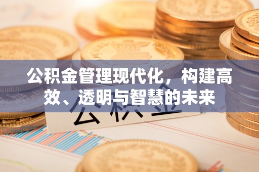 乐清公积金管理现代化，构建高效、透明与智慧的未来