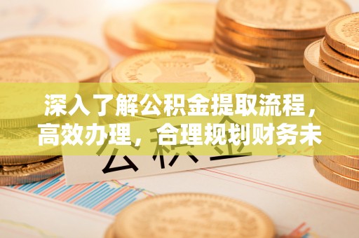 乐清深入了解公积金提取流程，高效办理，合理规划财务未来