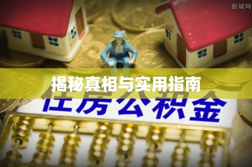 乐清揭秘真相与实用指南