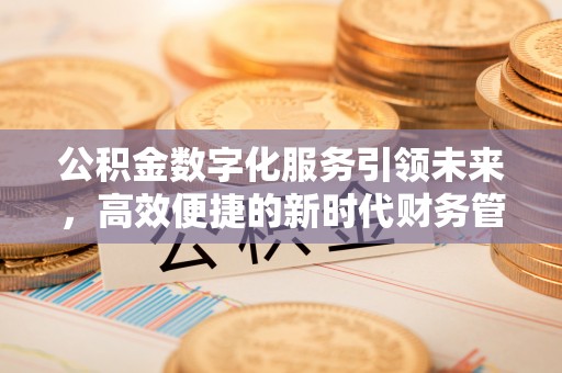 乐清公积金数字化服务引领未来，高效便捷的新时代财务管理