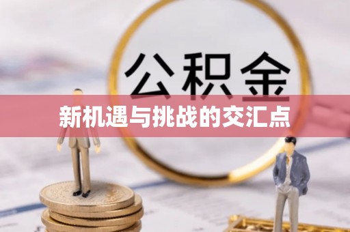 乐清新机遇与挑战的交汇点