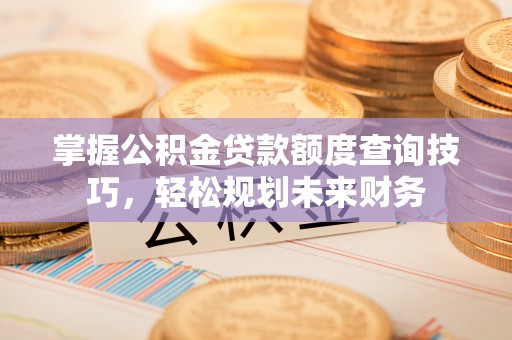 乐清掌握公积金贷款额度查询技巧，轻松规划未来财务