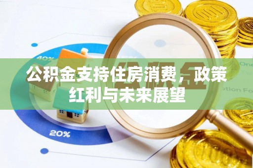 乐清公积金支持住房消费，政策红利与未来展望