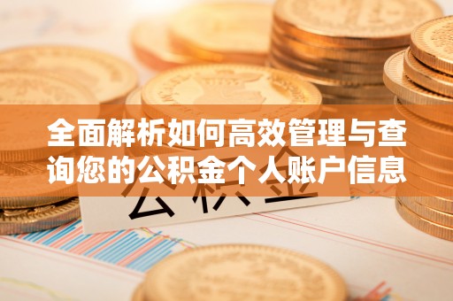 乐清全面解析如何高效管理与查询您的公积金个人账户信息