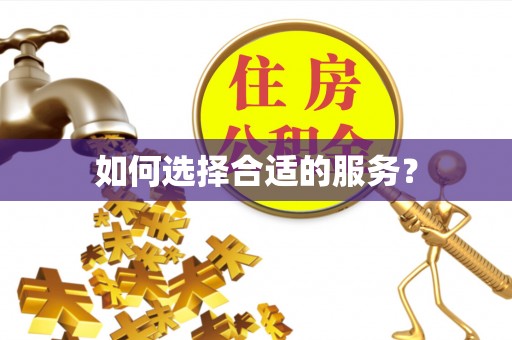 乐清如何选择合适的服务？