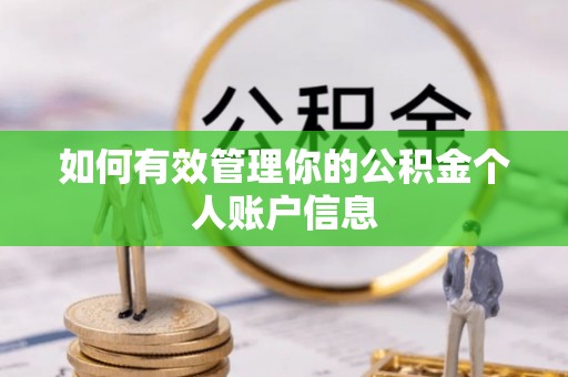 乐清如何有效管理你的公积金个人账户信息
