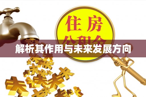 乐清解析其作用与未来发展方向
